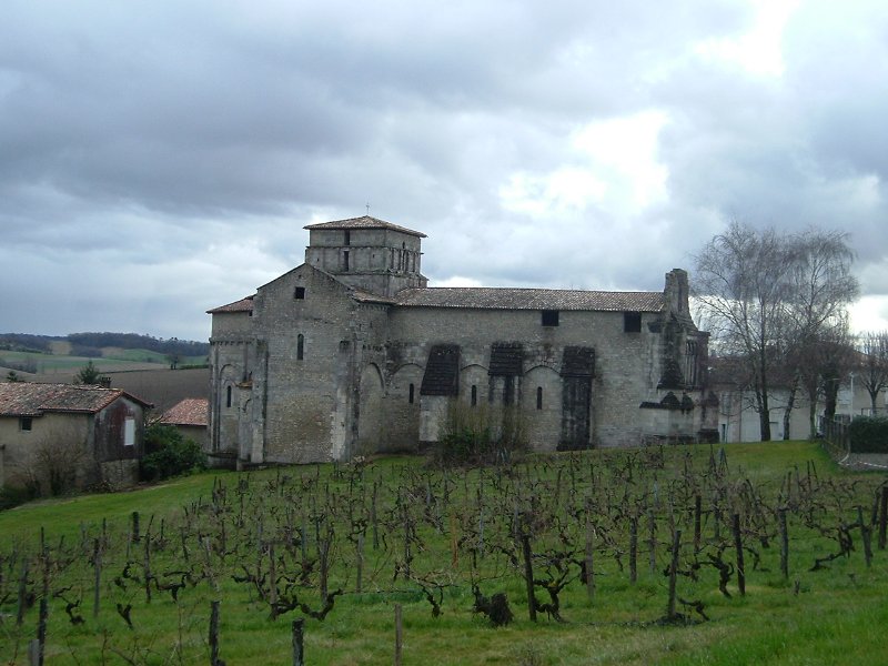 country-vineyard-in-france